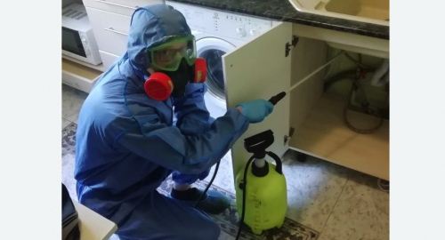 Уничтожение муравьев в квартире. Харабали