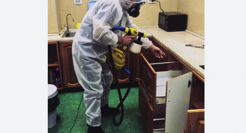 Дезинсекция квартиры. Харабали