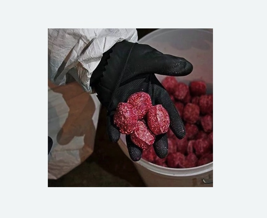 Обработка от крыс в Харабали