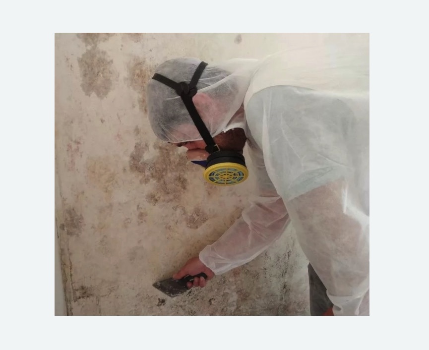 Обработка стен от плесени в Харабали