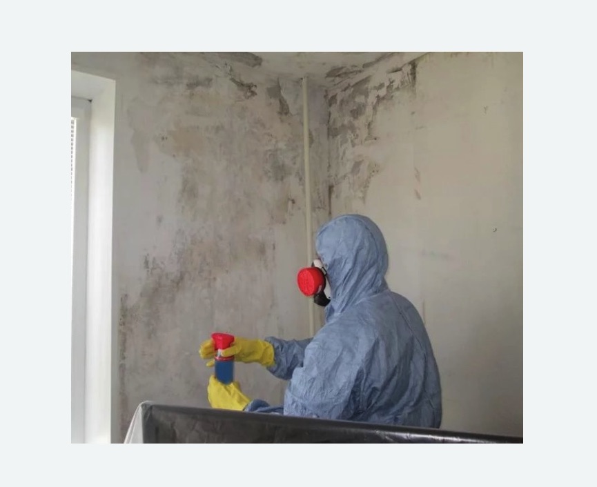 Удаление плесени в квартире в Харабали