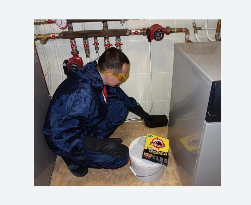 Уничтожение крыс в Харабали