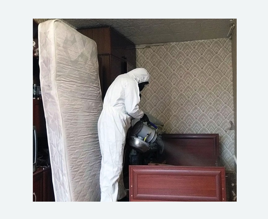 дезинфекция от клопов в Харабали