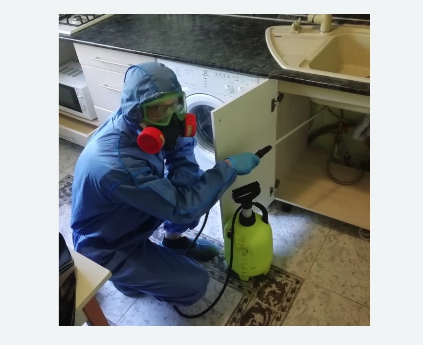 обработка от муравьев в квартире в Харабали